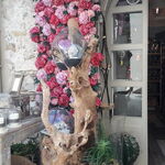 © Romanse V - Le Castellet Tourisme