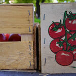 © Marché des producteurs - Office de tourisme de Saint-Cyr-sur-Mer / Joan Costeja