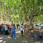 © Marché des producteurs - Office de tourisme de Saint-Cyr-sur-Mer / Joan Costeja