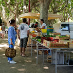 © Marché des producteurs - Office de tourisme de Saint-Cyr-sur-Mer / Joan Costeja