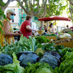 © Marché Paysan Parking Gabriel Péri - Office de tourisme de Saint-Cyr-sur-Mer / Joan Costeja