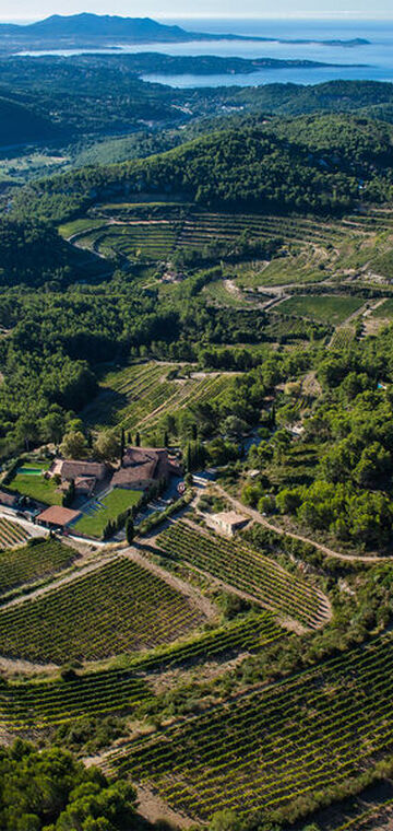 © Château Pibarnon - Château Pibarnon