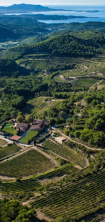 © Château Pibarnon - Château Pibarnon