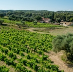 © Domaine de la Garenne - Beatrix de Balincourt