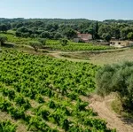 © Domaine de la Garenne - Beatrix de Balincourt