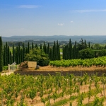 © Domaine de la Roche Redonne - Geneviève Tournier