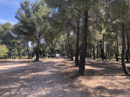 Crapa de la Vernette