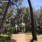 © Crapa de la Vernette - Office de Tourisme de Sanary-sur-Mer