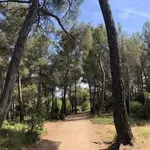 © Crapa de la Vernette - Office de Tourisme de Sanary-sur-Mer