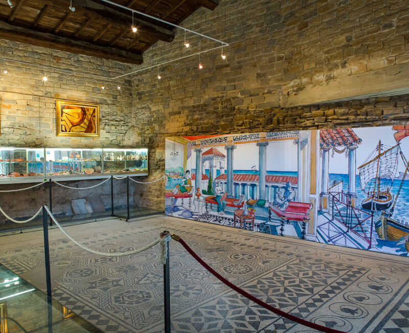 Musée Gallo-Romain de Tauroentum