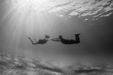 © Rencontres de l'image sous-marine en apnée - Sylvain BES / Omniblue Free Dive