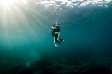 © Rencontres de l'image sous-marine en apnée - Sylvain BES / Omniblue Free Dive