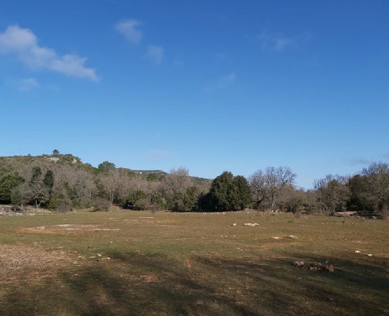 Plateau de Siou Blanc 4 - Circuit des Charbonnières