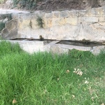 © Fontaine de Fontanieu - Sophie Delsanti