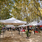© Grand Marché Alsacien - Office de tourisme de Saint-Cyr-sur-Mer / Joan Costeja
