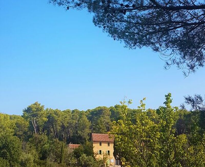 Circuit de la tête de cade - Plateau de Siou-Blanc