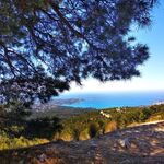© Le Gros Cerveau - Office de tourisme de Sanary-sur-Mer