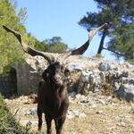 © Le Gros Cerveau - Office de tourisme de Sanary-sur-Mer