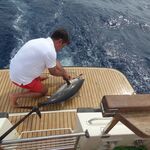 © Speedfishing - Speedfishing