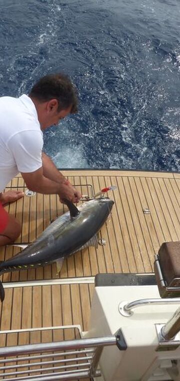 © Speedfishing - Speedfishing