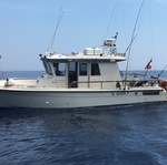 © Speedfishing - Speedfishing