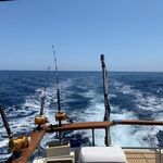 © Speedfishing - Speedfishing