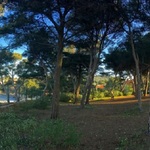 © Parc du Capélan - Bandol-littoral.org