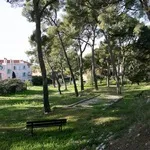 © Parc du Bois Maurin - Bandolblog