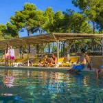 © Les Dauphins - Les Dauphins