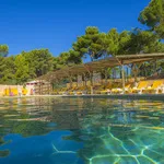 © Les Dauphins - Les Dauphins