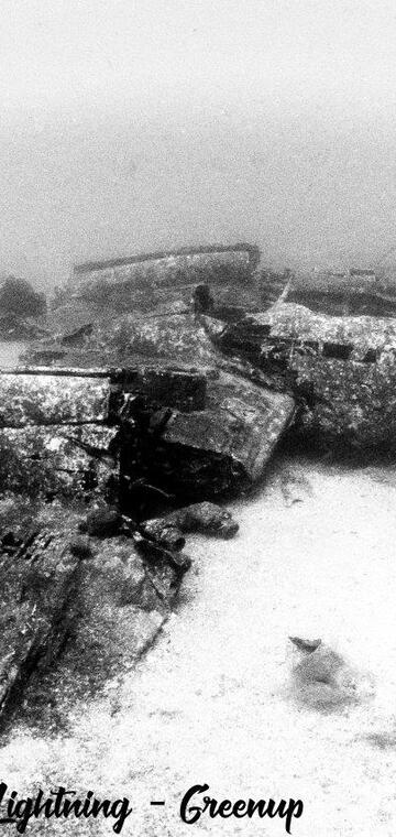 © P38 Lightning - Florence Roux - Lecques Aquanaut Center