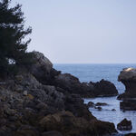 © Le sentier patrimonial de la Pointe Grenier - Office de tourisme de Saint-Cyr-sur-Mer / Joan Costeja