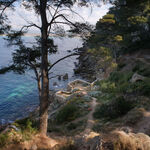 © Le sentier patrimonial de la Pointe Grenier - Office de tourisme de Saint-Cyr-sur-Mer / Joan Costeja