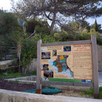 © Départ du port de la Madrague - Office de tourisme de Saint-Cyr-sur-Mer / Joan Costeja
