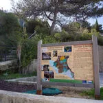 © Départ du port de la Madrague - Office de tourisme de Saint-Cyr-sur-Mer / Joan Costeja