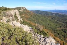 © Rando-découverte à Cuers - OTI La Londe