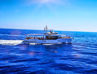 © 13 Creeks Sea Tour - Atlantide 1