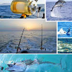 © Bandol Fishing Club - Bandol Fishing Club