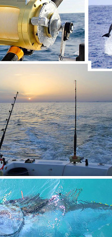 © Bandol Fishing Club - Bandol Fishing Club