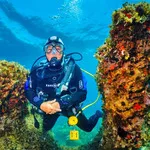 © Scuba Diving Exploration with Bandol Plongée - Bandol Plongée