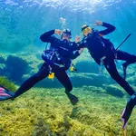 © Scuba Diving Exploration with Bandol Plongée - Bandol Plongée