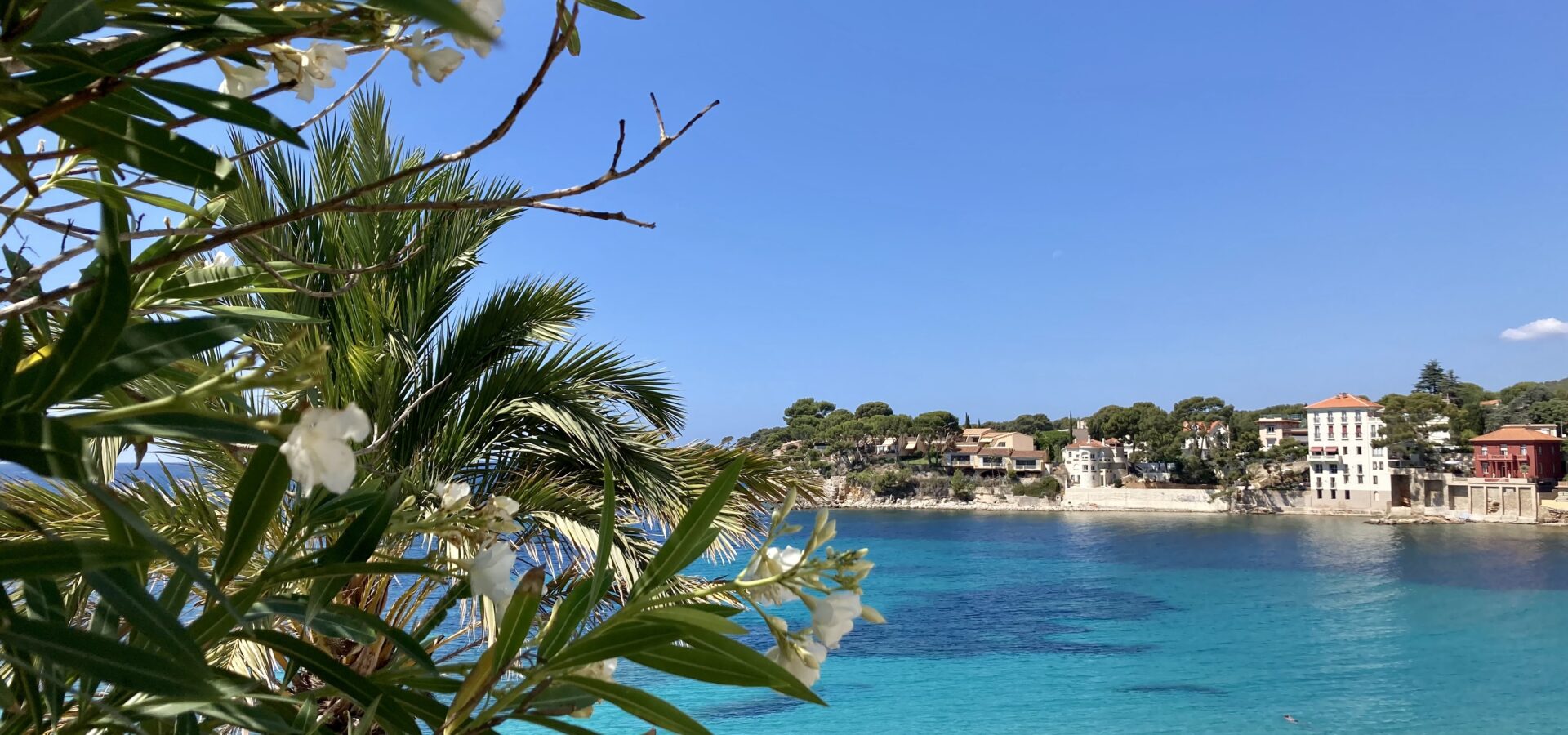 Bandol