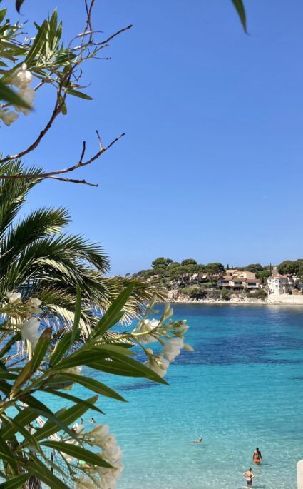 Bandol