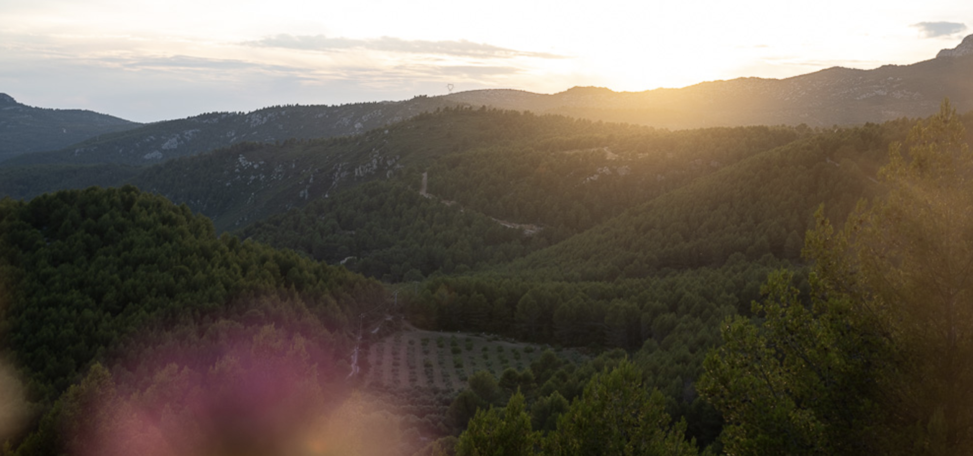 Randonnée Provence