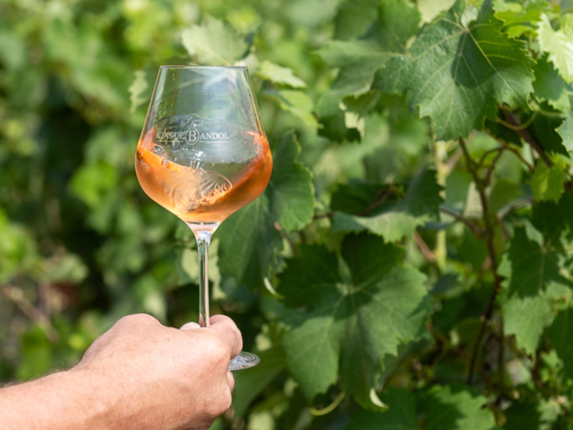 fete-vins-bandol