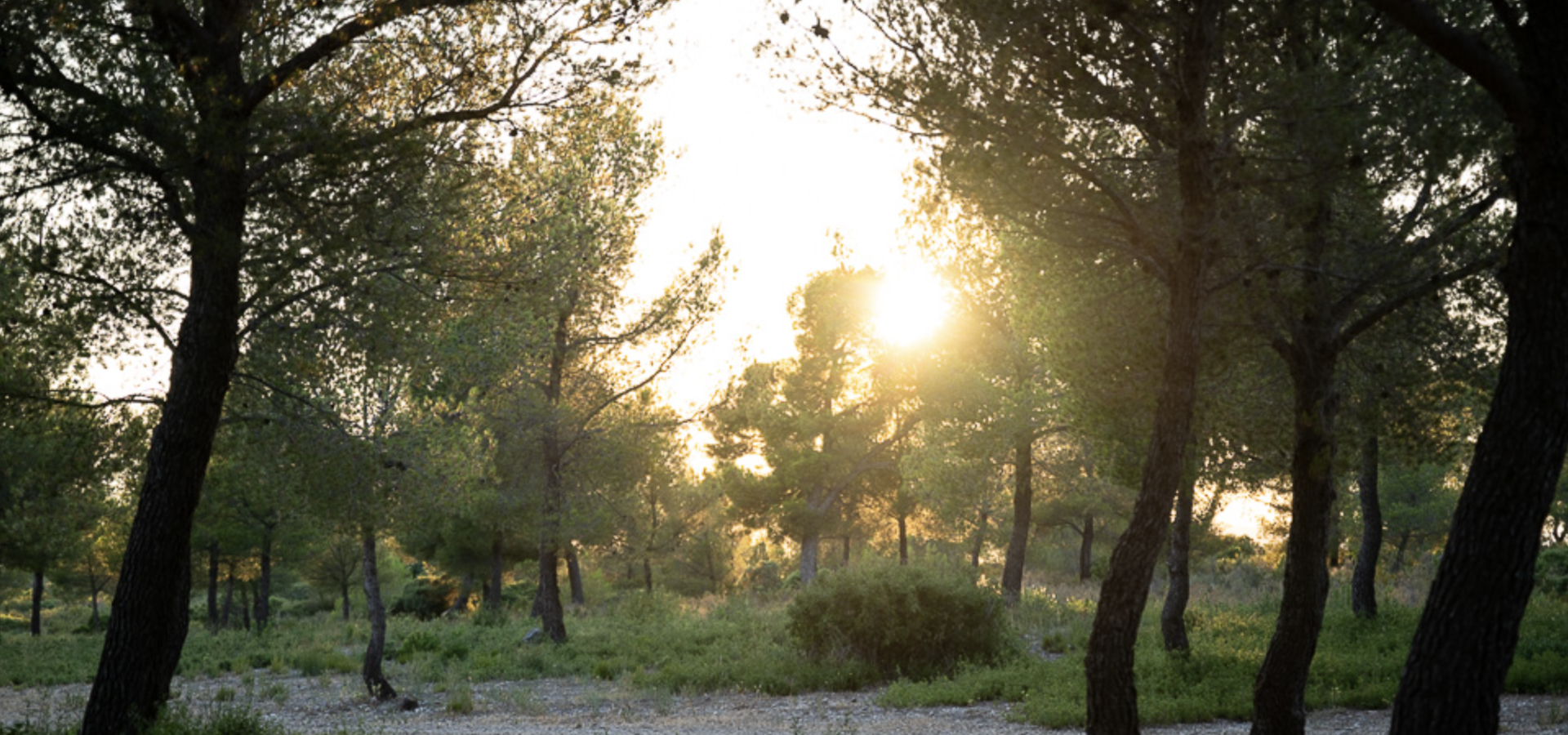 slow tourisme provence