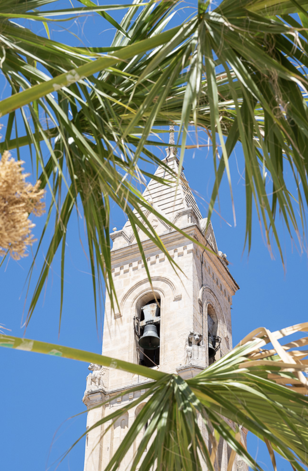patrimoine-religieux-provence-sud-sainte-baume
