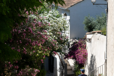 Ruelles de la Cadière d'Azur