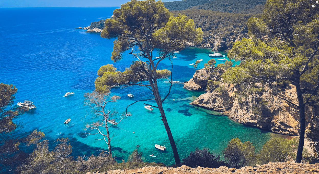 saint cyr sur mer provence