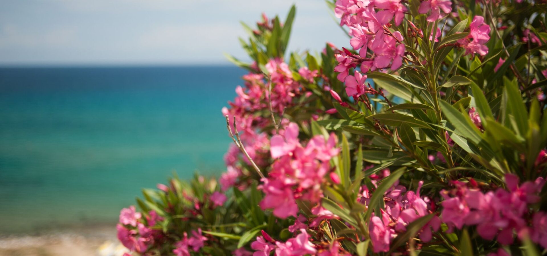 location de vacances provence var